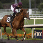 How to Spot a Champion Racehorse