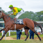 How to Spot a Horse With Potential for Racing