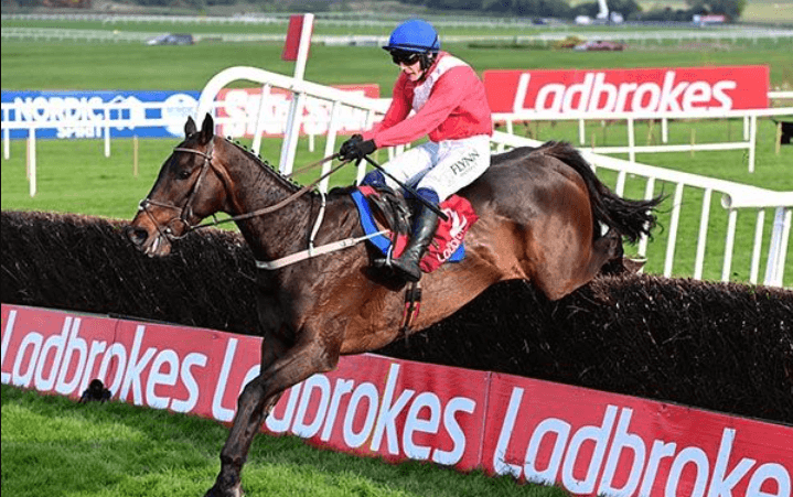 How to Understand Horse Racing Distances and Classifications