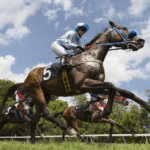 Key Tips for Horse Racing Fans