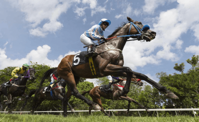 Key Tips for Horse Racing Fans