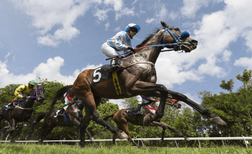 Key Tips for Horse Racing Fans