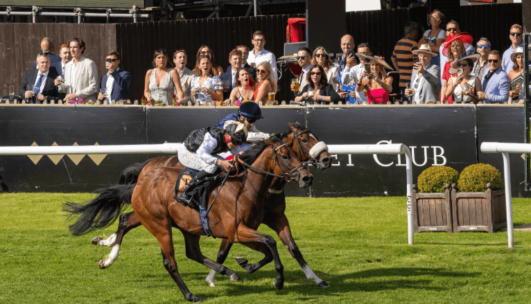 The Art of Horse Racing Training