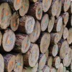 network operations performance assessment log