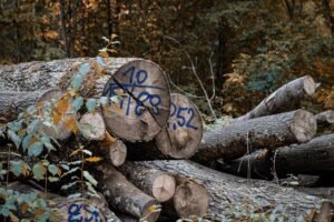 phone numbers and ids log